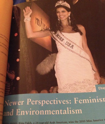 In High School History books under Newer Perspectives: Feminism and Environmentalism
