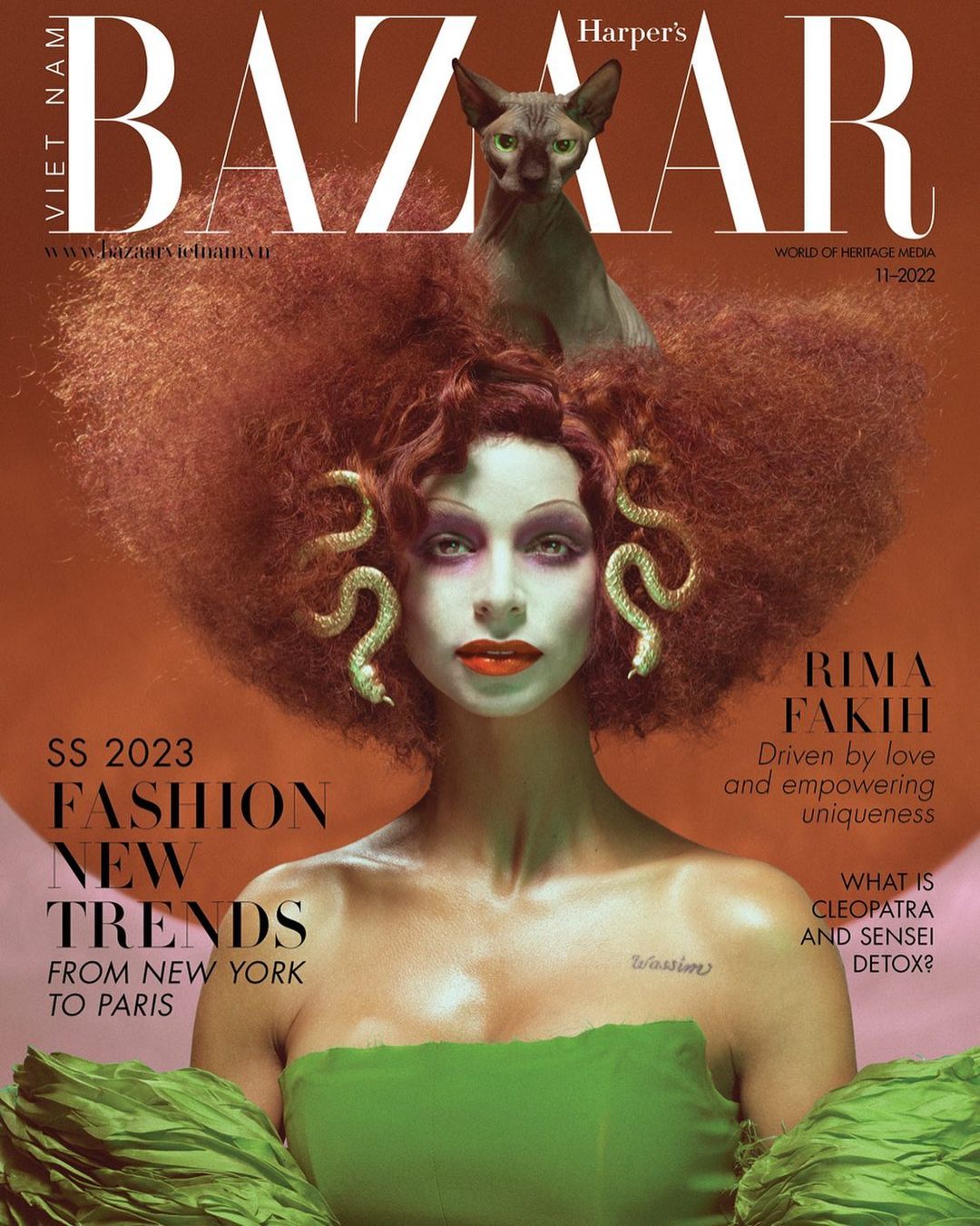 Covers The November 2022 Issue Of Harper's Bazaar Vietnam